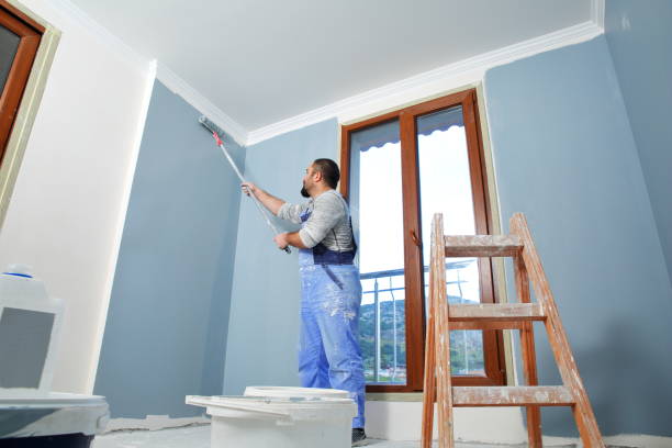 Best Faux Finishing and Decorative Painting  in Yorkvle, IL